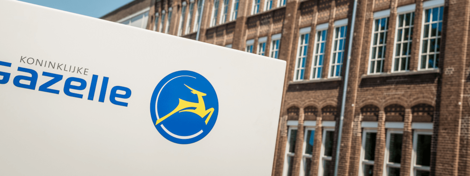 2021 GAZELLE GRENOBLE C8 HMB - Cycle elec